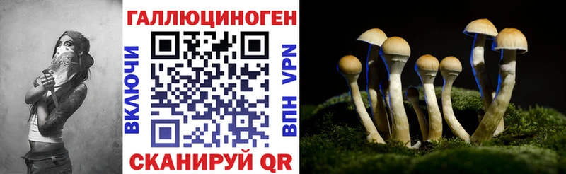 hydra ТОР Киров Галлюциногенные грибы прущие грибы