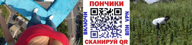 Бошки марихуана конопля  наркотики  Киров 